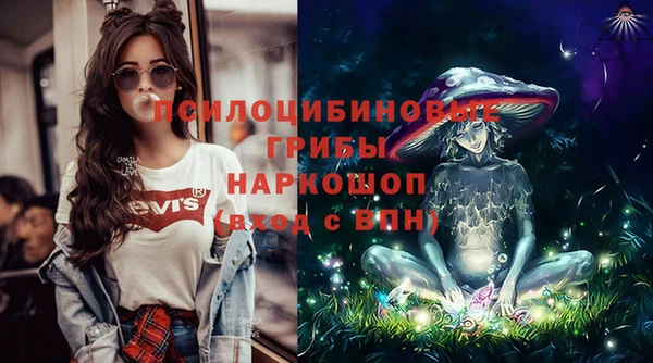 гидра Алзамай