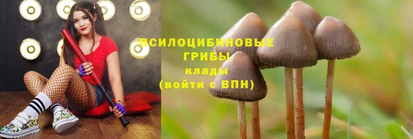 метадон Абинск