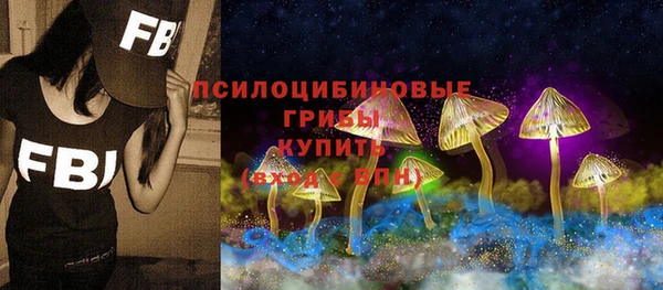 метадон Абинск