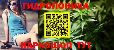 дживик Ачхой-Мартан