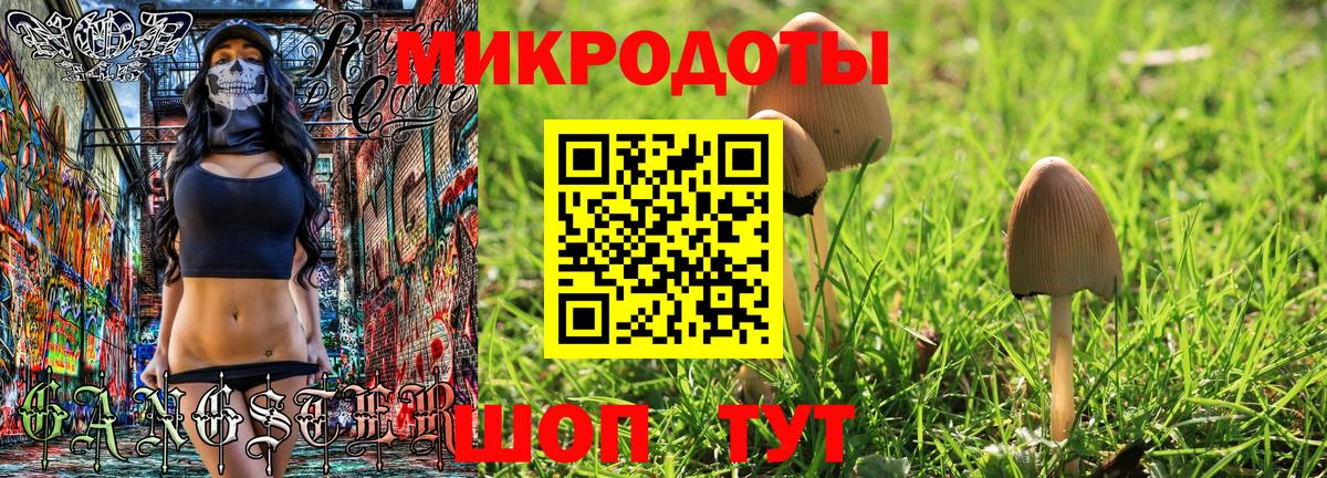 Галлюциногенные грибы Magic Shrooms  Вход с VPN  Тула 